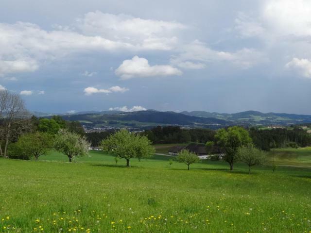 Desl'S Little Farm Apartman Waldburg Kültér fotó