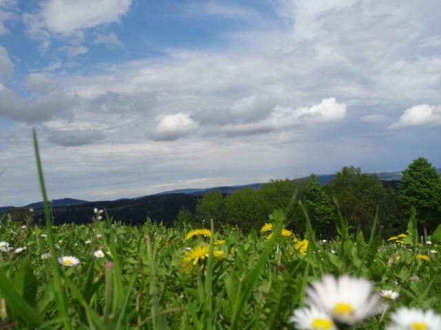 Desl'S Little Farm Apartman Waldburg Kültér fotó