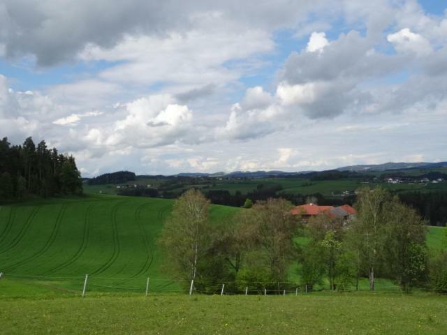 Desl'S Little Farm Apartman Waldburg Kültér fotó